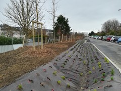 avenue de l'Europe et noue